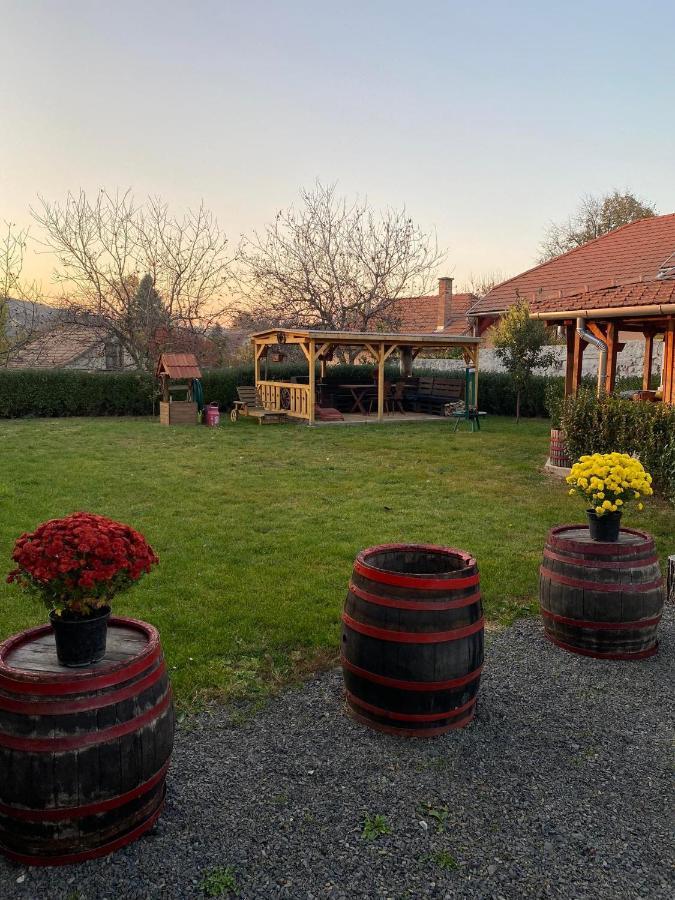 Zimmer Feri Vendeghaz Hotel Abaújszántó Bagian luar foto