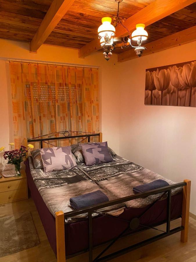 Zimmer Feri Vendeghaz Hotel Abaújszántó Bagian luar foto