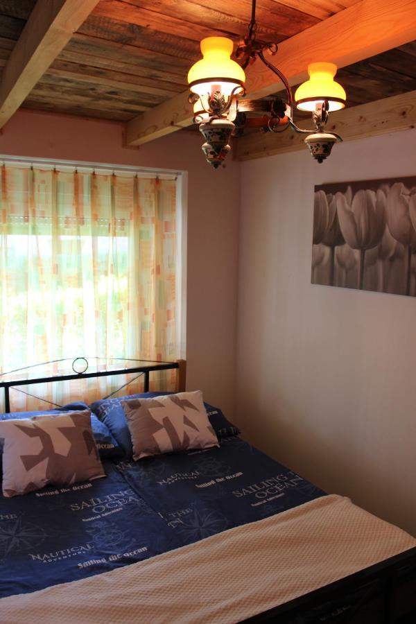 Zimmer Feri Vendeghaz Hotel Abaújszántó Bagian luar foto